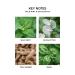 NEST New York Wild Mint & Eucalyptus Classic Candle 8.1 oz - Transform Your Style with the Best Innovation Today! - Buy Online on GoSupps.com
