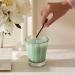 NEST New York Wild Mint & Eucalyptus Classic Candle 8.1 oz - Transform Your Style with the Best Innovation Today! - Buy Online on GoSupps.com