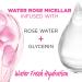 Garnier SkinActive Micellar Cleansing Water with Rose Water 13.5 oz - Discover Premium Quality Shop now! - Buy Online on GoSupps.com