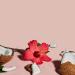 SheaMoisture Coconut & Hibiscus Kids Curling Butter Cream 6.0 oz - Transform Your Style with the Best Innovation Today! - Buy Online on GoSupps.com