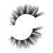 Kiss Lash Couture Masterpiece Cruise False Lashes - Discover Premium Quality Shop now! - Buy Online on GoSupps.com