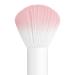 Discover Wet n Wild Essential Powder Brush - Elevate Your Style Instantly! - Buy Online on GoSupps.com
