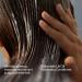 Discover Eva Nyc Lift Off Volume Shampoo 8.8 oz - Elevate Your Style Instantly! - Buy Online on GoSupps.com