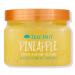 Tree Hut Pineapple Shea Sugar Scrub 18.0 oz