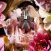 Yves Saint Laurent Mon Paris Lumiere Eau de Toilette 1.0 oz - Discover Premium Quality Shop now! - Buy Online on GoSupps.com