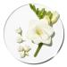 Clinique Happy in Bloom Perfume Spray 1.7 oz - Transform Your Style with the Best Innovation Today! - Buy Online on GoSupps.com