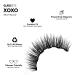 Discover Glamnetic XOXO Magnetic Lashes 1 pair - Elevate Your Style Instantly! - Buy Online on GoSupps.com