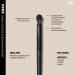 Morphe V206 Domed Crease Eyeshadow Brush 1 ct - Transform Your Style with the Best Innovation Today! - Buy Online on GoSupps.com