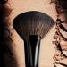 Discover Morphe V112 Fluffy Fan Powder Brush 1 ct - Elevate Your Style Instantly! - Buy Online on GoSupps.com