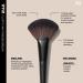 Discover Morphe V112 Fluffy Fan Powder Brush 1 ct - Elevate Your Style Instantly! - Buy Online on GoSupps.com