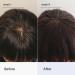 Discover Better Not Younger Superpower+ Advanced Hair Densifying Scalp Serum 2.0 oz - Elevate Your Style Instantly! - Buy Online on GoSupps.com