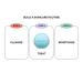 Bubble Come Clean Detox Clay Mask 1.5 oz - Transform Your Style with the Best Innovation Today! - Buy Online on GoSupps.com