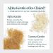 Virtue Flourish Thickening & Hydrating Mask 5.0 oz - Discover Premium Quality Shop now! - Buy Online on GoSupps.com
