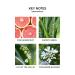 NEST New York Grapefruit Wall Diffuser Set - Discover Premium Quality Shop now! - Buy Online on GoSupps.com