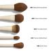 Morphe Morphe X Ariel Signature Face 5-Piece Face Brush Set - Discover Premium Quality Shop now! - Buy Online on GoSupps.com