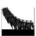 NYX Professional Makeup Jumbo Lash! False Lashes - Fringe Glam - Transform Your Style with the Best Innovation Today! - Buy Online on GoSupps.com