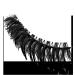 Discover NYX Professional Makeup Jumbo Lash Longwear False Lash Kit System - Elevate Your Style Instantly! - Buy Online on GoSupps.com