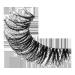 Discover Kiss My Lash But Bolder 3D False Eyelashes, Big Personality - Elevate Your Style Instantly! - Buy Online on GoSupps.com