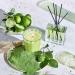 NEST New York Lime Zest & Matcha Reed Diffuser 5.9 oz - Transform Your Style with the Best Innovation Today! - Buy Online on GoSupps.com