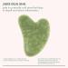 Discover EcoTools Jade Gua Sha Skincare Tool 1 ct - Elevate Your Style Instantly! - Buy Online on GoSupps.com