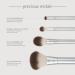EcoTools Precious Metals Cheek + Eye Highlight Brush Set - Discover Premium Quality Shop now! - Buy Online on GoSupps.com