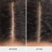 Discover Drybar Crown Tonic Pre-Shampoo Scalp-Balancing Cleanser 6.0 oz - Elevate Your Style Instantly! - Buy Online on GoSupps.com