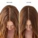 Drybar Detox Gentle Sensitive Scalp Dry Shampoo 3.5 oz - Transform Your Style with the Best Innovation Today! - Buy Online on GoSupps.com