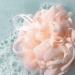 Discover EcoTools 3 Pack Delicate EcoPouf Loofahs 3 ct - Elevate Your Style Instantly! - Buy Online on GoSupps.com