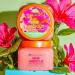 Tree Hut Pink Hibiscus Shea Sugar Body Scrub 18.0 oz - Transform Your Style with the Best Innovation Today! - Buy Online on GoSupps.com