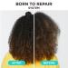 Discover Carol's Daughter Born To Repair 60-Second Moisture Treatment With Shea Butter 6.8 oz - Elevate Your Style Instantly! - Buy Online on GoSupps.com