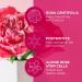 Andalou Naturals 1000 Roses Biome Balancing Day Cream 1.7 oz - Transform Your Style with the Best Innovation Today! - Buy Online on GoSupps.com