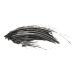 Clinique High Impact Mascara Mini Black - Transform Your Style with the Best Innovation Today! - Buy Online on GoSupps.com