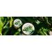 Urban Hydration Bright & Balanced Aloe Vera Leaf Facial Gel Mask 6.7 oz - Discover Premium Quality Shop now! - Buy Online on GoSupps.com