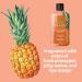Hempz Sweet Pineapple & Honey Melon Herbal Body Wash 17 oz - Discover Premium Quality Shop now! - Buy Online on GoSupps.com