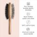 Diane 2-in-1 Premium Styling, Detangling, & Polishing Hair Brush - Transform Your Style with the Best Innovation Today! - Buy Online on GoSupps.com