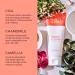 Discover PEACH & LILY Double Cleanse Travel Size Duo - Elevate Your Style Instantly! - Buy Online on GoSupps.com