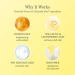 Discover Beekman 1802 Travel Size Potato Peel Rapid Resurfacing Milk Facial 0.5 oz - Elevate Your Style Instantly! - Buy Online on GoSupps.com