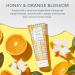 Discover Beekman 1802 Honey & Orange Blossom Hand Cream - Elevate Your Style Instantly! - Buy Online on GoSupps.com