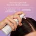 Briogeo Scalp Revival Charcoal + Tea Tree Buildup Detox Spray 4.0 oz - Discover Premium Quality Shop now! - Buy Online on GoSupps.com
