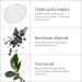 Briogeo Scalp Revival Charcoal + Tea Tree Buildup Detox Spray 4.0 oz - Discover Premium Quality Shop now! - Buy Online on GoSupps.com