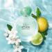 Discover ARMANI Giorgio Armani Fragrance Must-Haves 2 Piece Mini Gift Set - Elevate Your Style Instantly! - Buy Online on GoSupps.com