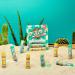 Vacation AriZona Iced Tea Lip Balms - Transform Your Style with the Best Innovation Today! - Buy Online on GoSupps.com