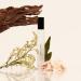 Discover DIME Dans Les Bois Eau de Toilette Travel Spray 0.34 oz - Elevate Your Style Instantly! - Buy Online on GoSupps.com
