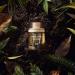 Discover Snif Way with Woods Eau de Toilette 1.0 oz - Elevate Your Style Instantly! - Buy Online on GoSupps.com