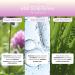 Undefined Beauty R&R Nourishing Scalp Serum 1.0 oz - Discover Premium Quality Shop now! - Buy Online on GoSupps.com