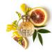 TOCCA Stella Eau de Parfum 1.7 oz - Transform Your Style with the Best Innovation Today! - Buy Online on GoSupps.com