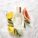 Discover TOCCA Stella Olio Sublime Profumato - Scented Dry Body Oil 3.4 oz - Elevate Your Style Instantly! - Buy Online on GoSupps.com