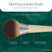 EcoTools Blurring Powder Face Makeup Brush 1 ct - Transform Your Style with the Best Innovation Today! - Buy Online on GoSupps.com