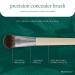 EcoTools Precision Concealer Makeup Brush 1 ct - Transform Your Style with the Best Innovation Today! - Buy Online on GoSupps.com
