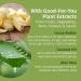 Hempz Original Herbal Body Oil 6.76 oz - Transform Your Style with the Best Innovation Today! - Buy Online on GoSupps.com